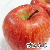 長野県産りんご　サンふじ